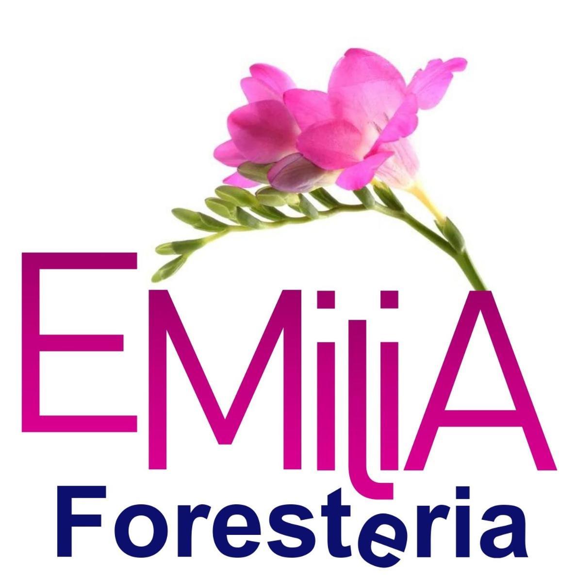 Foresteria Emilia Grosotto Exterior photo